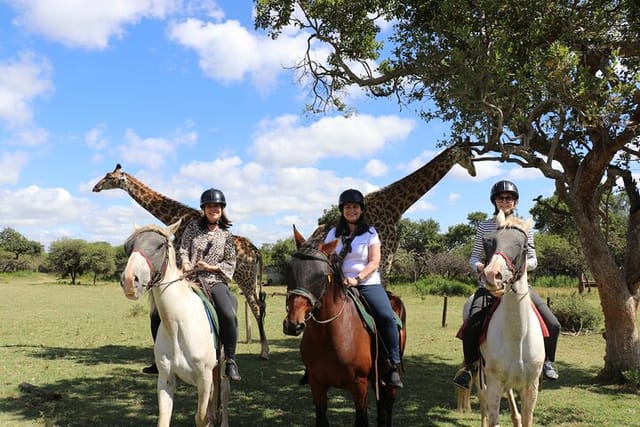 Horseback Safari Adventure in Hartbeespoort from Johannesburg - Photo 1 of 12